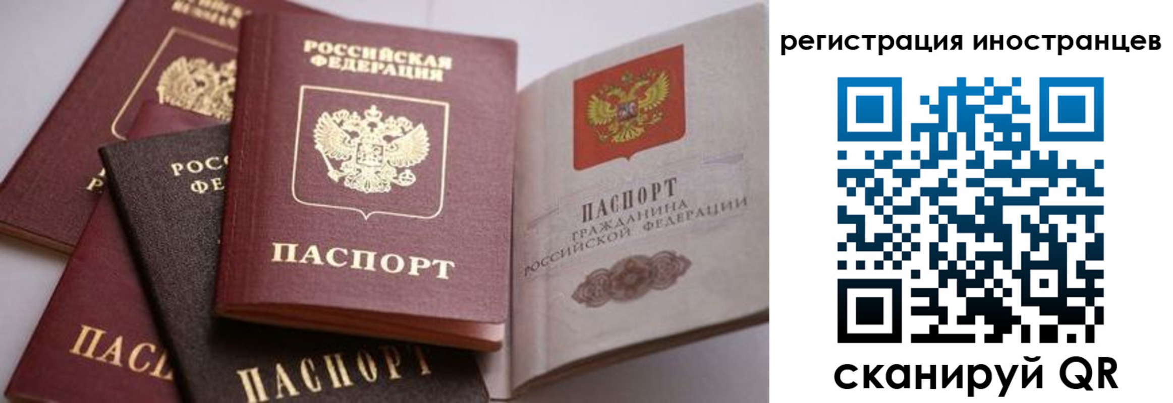 прописка штамп в Новозыбкове